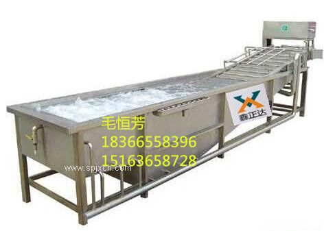 供應鑫正達蔬菜氣泡清洗機，廠家