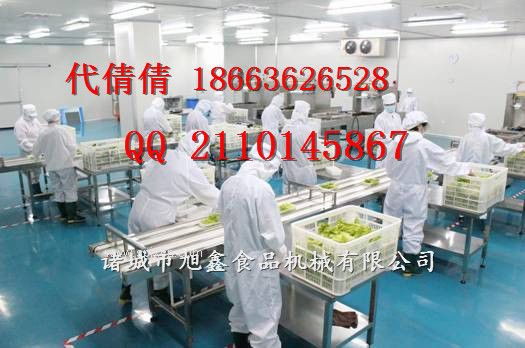 果蔬加工設(shè)備,凈菜流水線