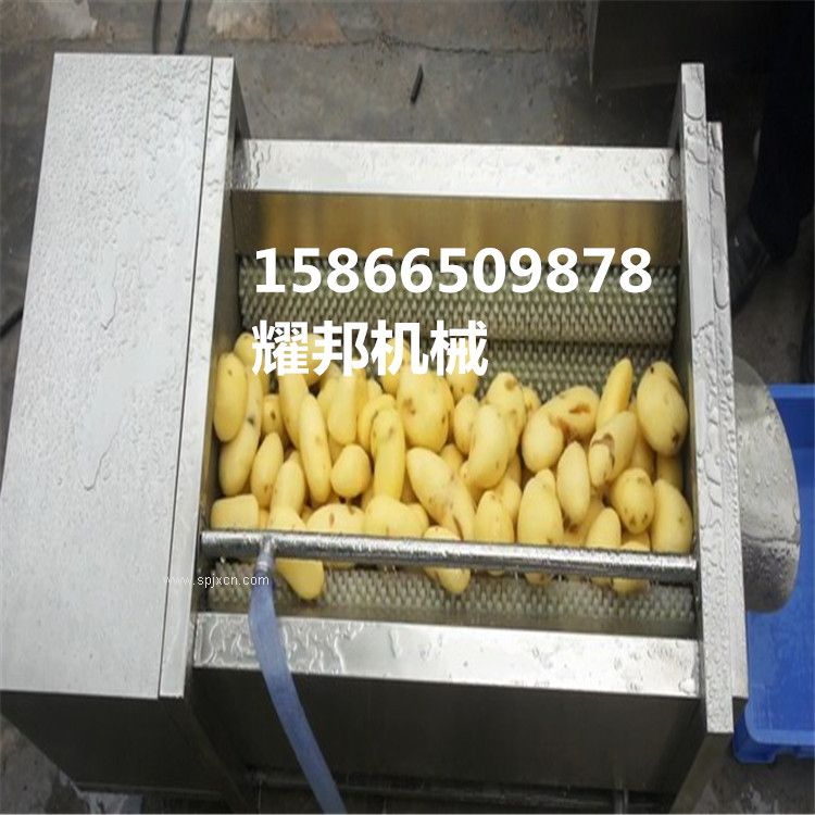 供應(yīng) 根莖類植物毛刷清洗機(jī)