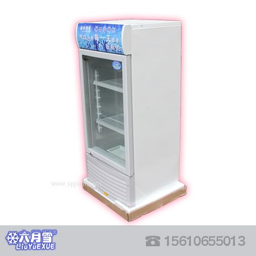 六月雪保鮮柜，冷藏展示柜，臨沂