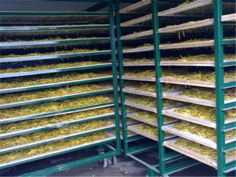 金銀花烘干設備_金銀花烘干機_